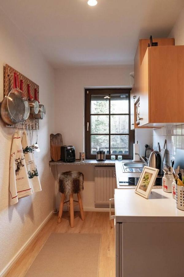 Das Waldseechalet Maerchenhafter Waldseeblick - Moderne Wohnung Mit Infrarotsauna Hasselfelde Eksteriør billede