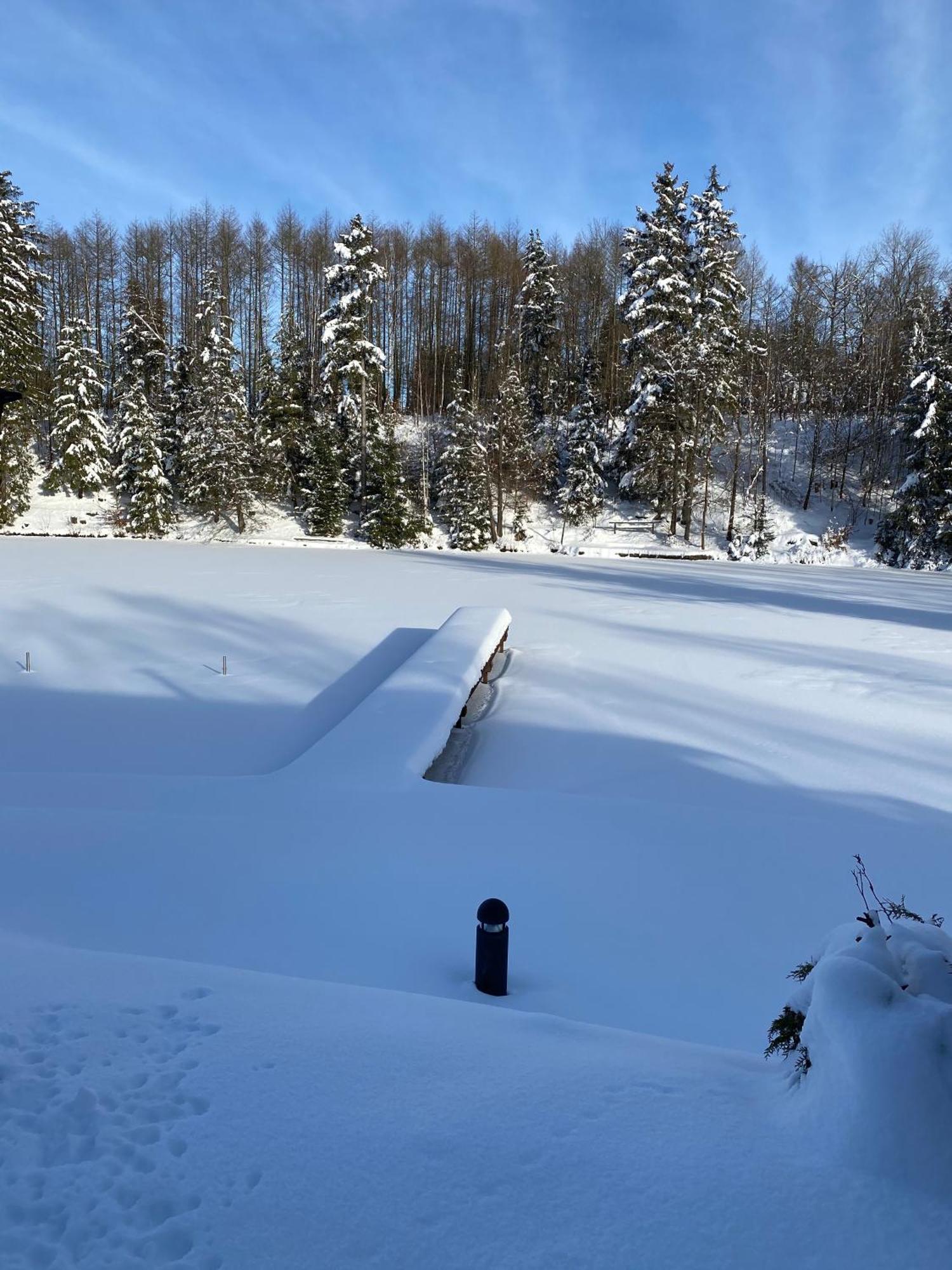 Das Waldseechalet Maerchenhafter Waldseeblick - Moderne Wohnung Mit Infrarotsauna Hasselfelde Eksteriør billede