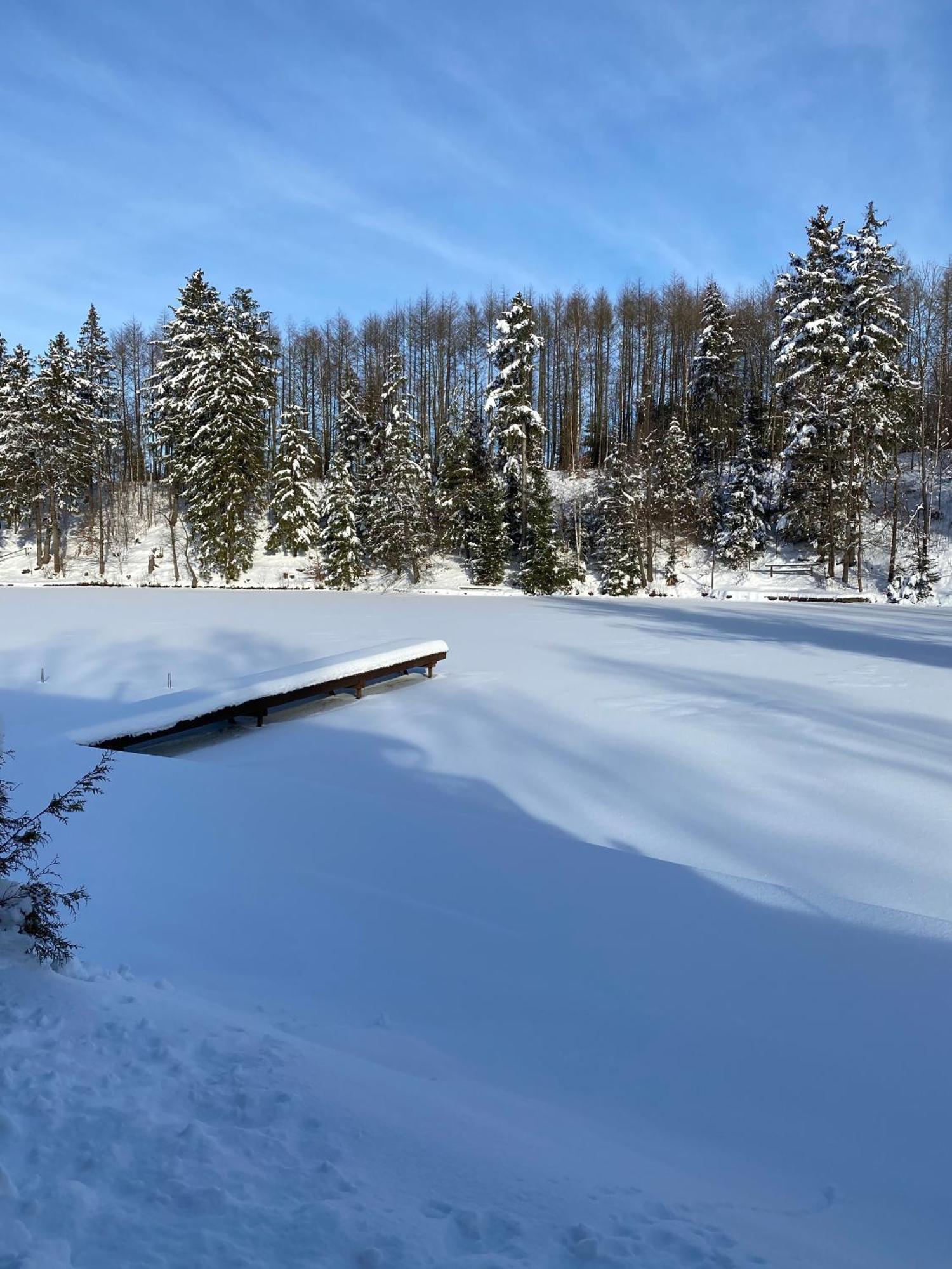 Das Waldseechalet Maerchenhafter Waldseeblick - Moderne Wohnung Mit Infrarotsauna Hasselfelde Eksteriør billede